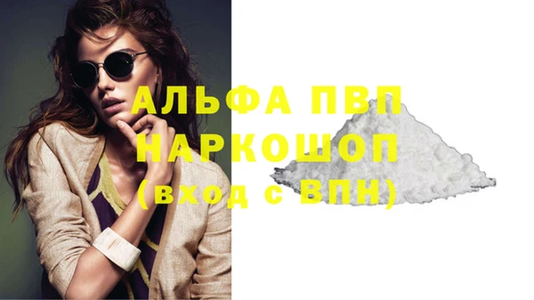 индика Алексин