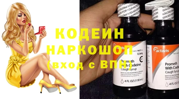 индика Алексин