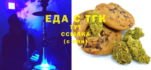 индика Алексин